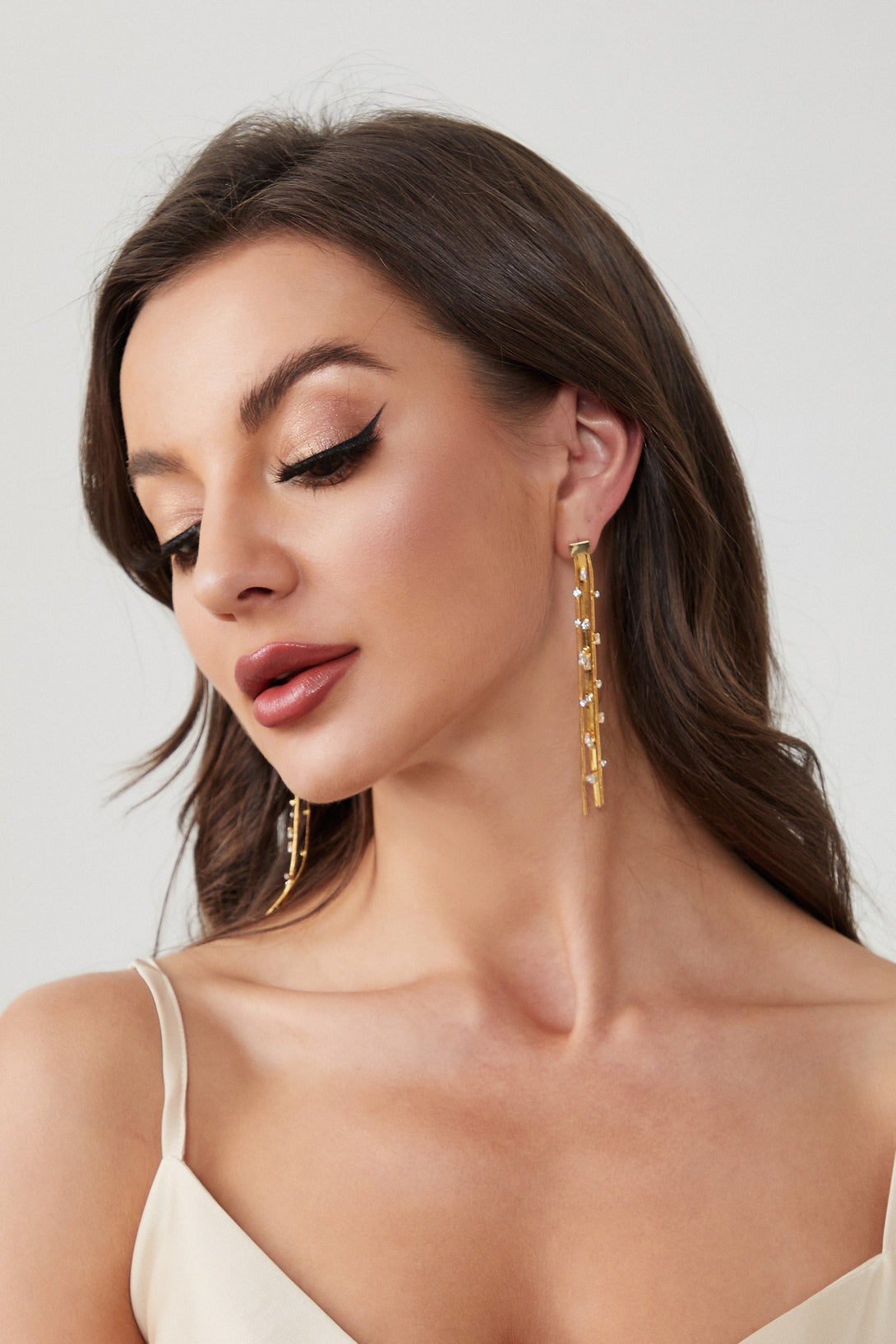 Golden Tassel Zirconia Earrings - Classicharms
